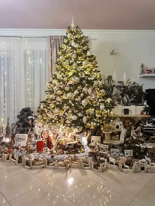 Provjerite tko su pobjednici izbora za naj jelku!