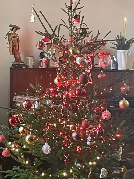 Provjerite tko su pobjednici izbora za naj jelku!