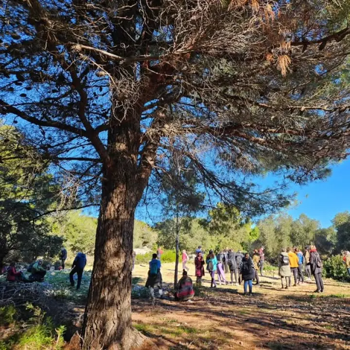 Brojni Šibenčani jutro proveli u šetnji na poluotoku Oštrica