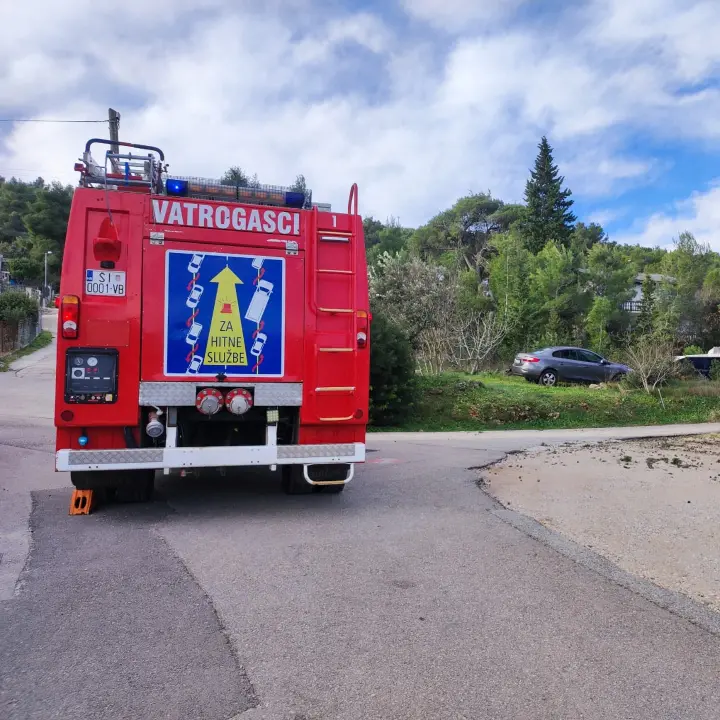 Bilički vatrogasci uklanjali stablo s prometnice