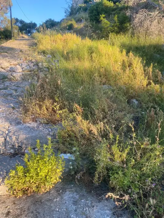 'Zeleni grad' u pogonu: Nakon Vidika, stižu pritužbe i na zapuštenost oko Baronea i Šubićevog šetališta