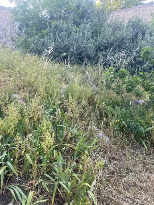 'Zeleni grad' u pogonu: Nakon Vidika, stižu pritužbe i na zapuštenost oko Baronea i Šubićevog šetališta