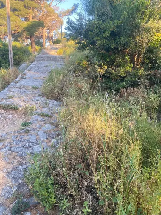 'Zeleni grad' u pogonu: Nakon Vidika, stižu pritužbe i na zapuštenost oko Baronea i Šubićevog šetališta
