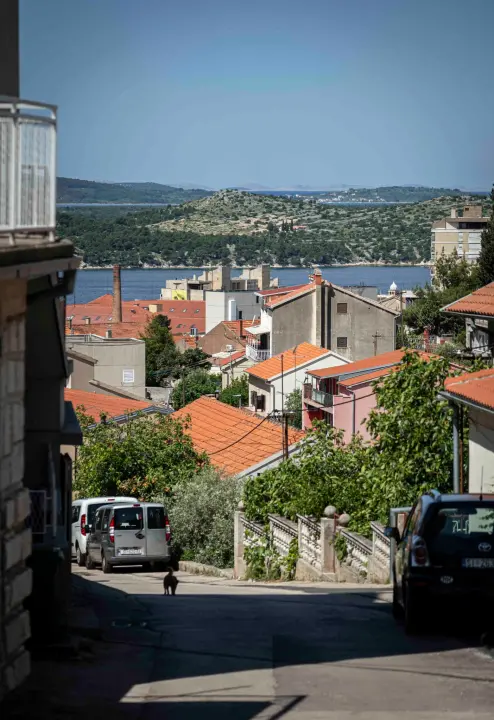 rokici