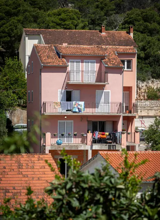 rokici