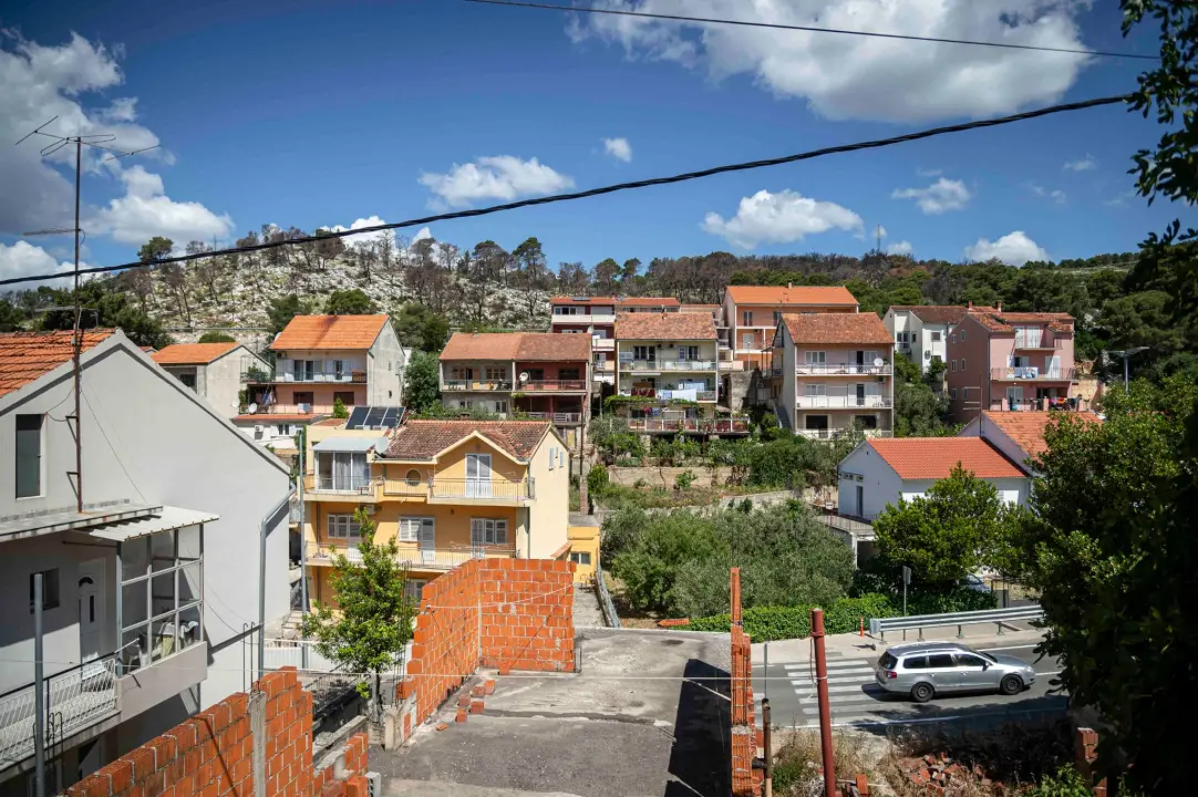 rokici