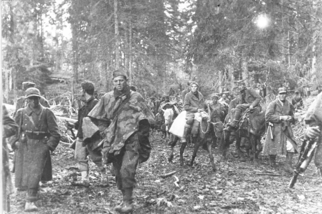 U bitci na Sutjesci sudjelovalo najviše Šibenčana, njih 1316