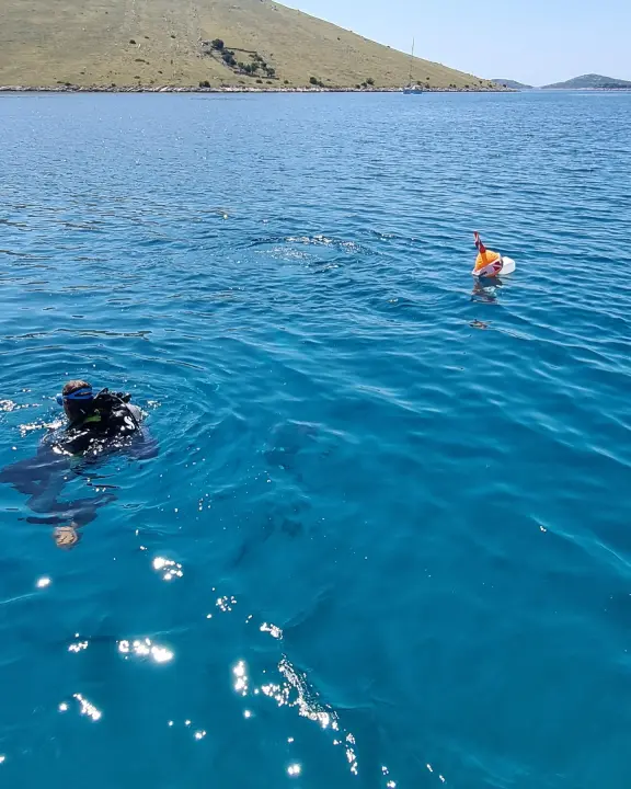 U NP Kornati postavljeni kolektori za prikupljanje mlađi periske