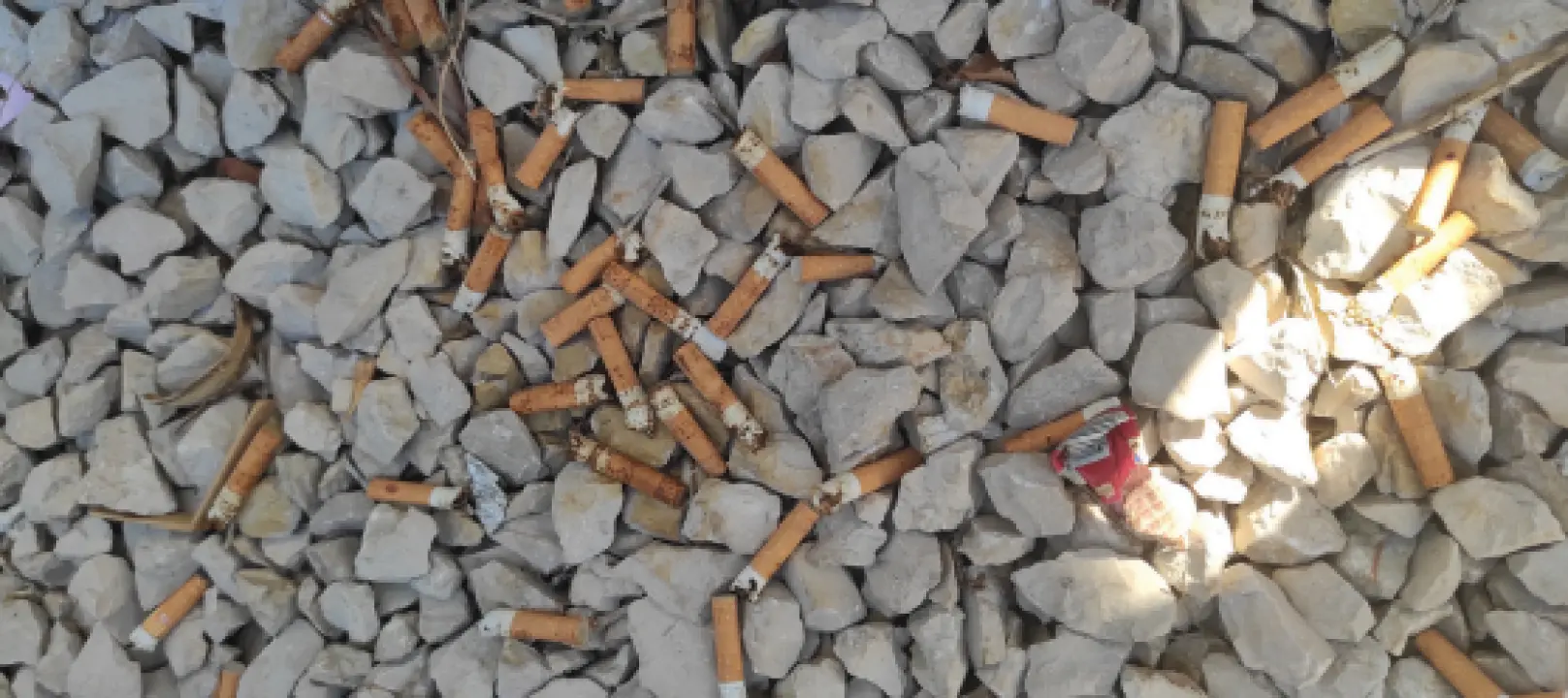 FOTO Fekalije po zidu, zaštopani zahodi, tamponi u okvirima, razbacano smeće – s tim se na Rezalištu svakodnevno bore djelatnici Zelenog grada