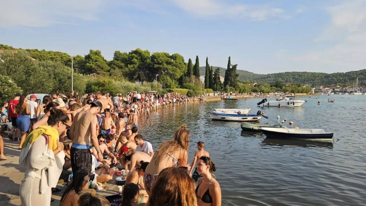 Lov na ciple na teću