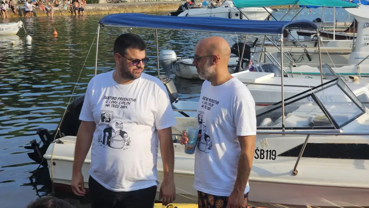 Lov na ciple na teću