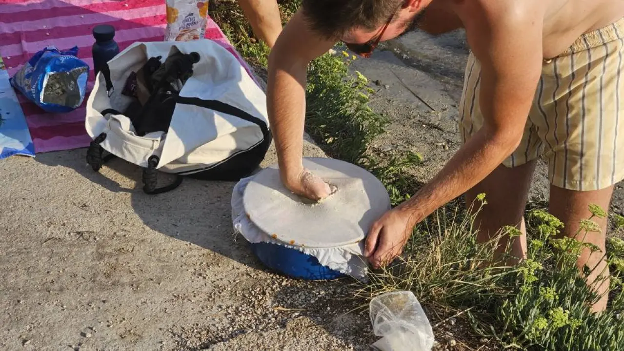 Lov na ciple na teću